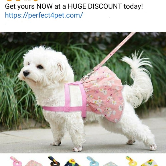 Floral pet harness vest dress - Picture 5 of 5